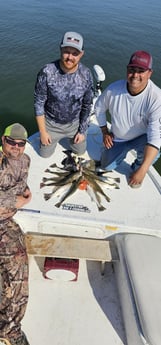 Black Drum, Speckled Trout Fishing in Galveston, Texas