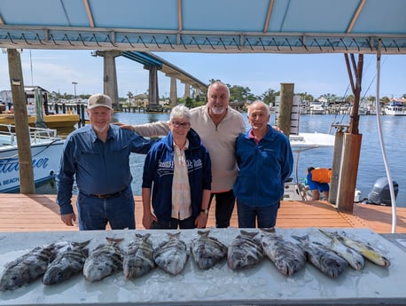 Sheepshead Fishing in Pensacola, Florida