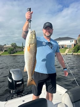 Fishing in League City, Texas