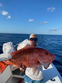 King Mackerel / Kingfish, Red Snapper fishing in Destin, Florida