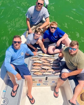 Mangrove Snapper, Speckled Trout / Spotted Seatrout fishing in Sarasota, Florida