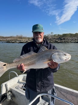 Redfish Fishing in Galveston, Texas