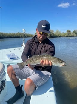 Speckled Trout / Spotted Seatrout Fishing in St. Petersburg, Florida