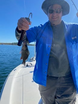 Mangrove Snapper Fishing in Destin, Florida