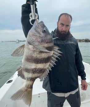 Sheepshead fishing in Galveston, Texas