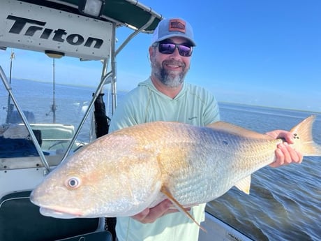 Redfish Fishing in New Orleans, Louisiana