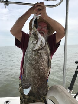 Tripletail fishing in Venice, Louisiana