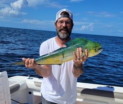 Mahi Mahi / Dorado fishing in Pensacola, Florida