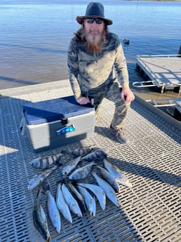 Black Drum, Speckled Trout / Spotted Seatrout Fishing in Galveston, Texas