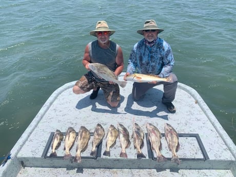 Black Drum, Redfish Fishing in Port Isabel, Texas