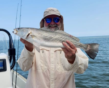 Speckled Trout Fishing in Galveston, Texas