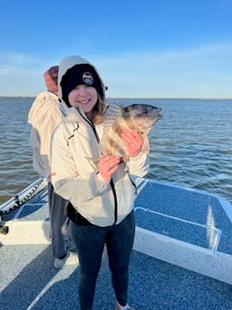 Sheepshead Fishing in Galveston, Texas