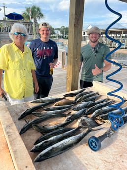 Spadefish, Spanish Mackerel fishing in Orange Beach, Alabama