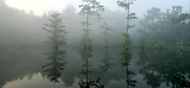 Fishing in Broken Bow, Oklahoma