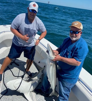 Blacktip Shark fishing in Galveston, Texas