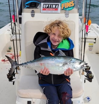 Little Tunny / False Albacore Fishing in Beaufort, North Carolina