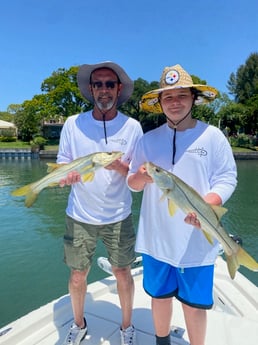 Snook fishing in St. Petersburg, Florida