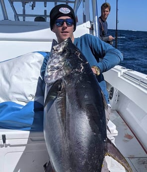 Yellowfin Tuna fishing in Venice, Loisiana