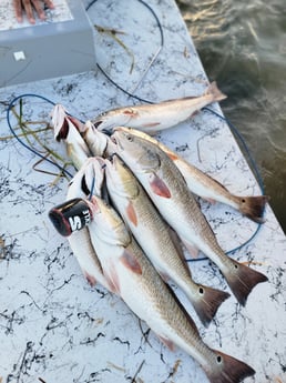 Redfish Fishing in South Padre Island, Texas