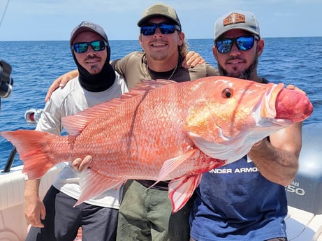 Red Snapper fishing in Clearwater, Florida