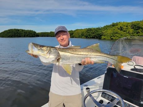 Snook Fishing in Clearwater, Florida