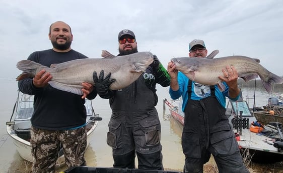 Blue Catfish fishing in Dallas, Texas