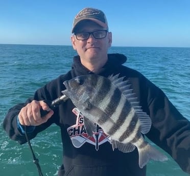 Sheepshead Fishing in Sarasota, Florida