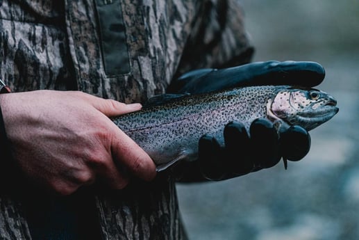 Fishing in Broken Bow, Oklahoma