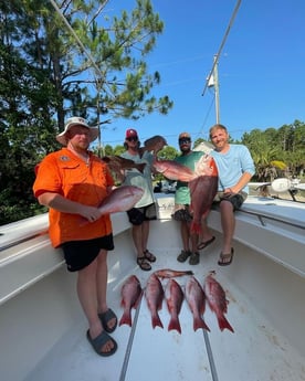 Red Snapper Fishing in Santa Rosa Beach, Florida