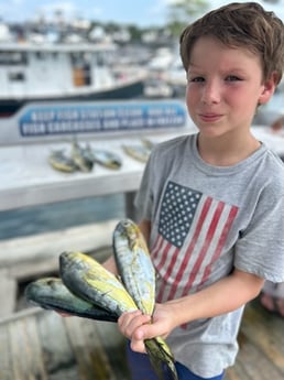 Mahi Mahi Fishing in Destin, Florida