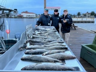 Fishing in New Orleans, Louisiana