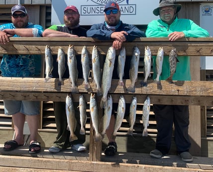 Speckled Trout / Spotted Seatrout fishing in Corpus Christi, Texas