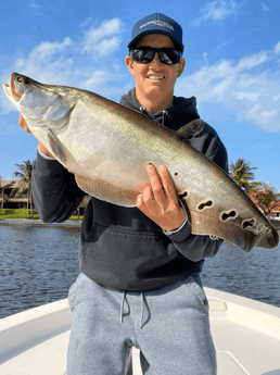 Clown Knifefish fishing in Delray Beach, Florida