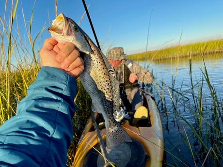 Speckled Trout / Spotted Seatrout fishing in St. Augustine, Florida