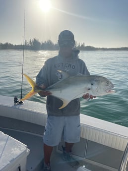 Jack Crevalle fishing in Naples, Florida