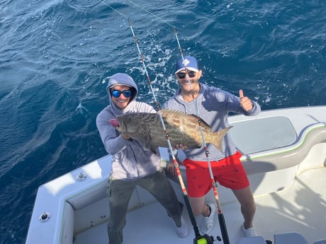 Black Grouper Fishing in Fort Lauderdale, Florida