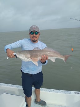 Redfish, Speckled Trout / Spotted Seatrout fishing in South Padre Islands, Texas