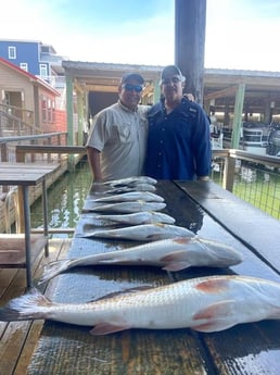 Black Drum, Redfish Fishing in Galveston, Texas