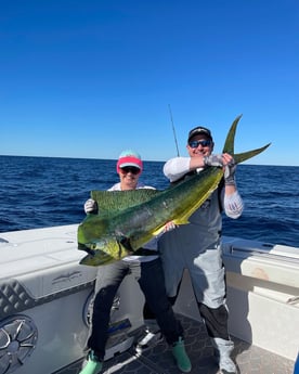 Mahi Mahi / Dorado Fishing in Santa Rosa Beach, Florida