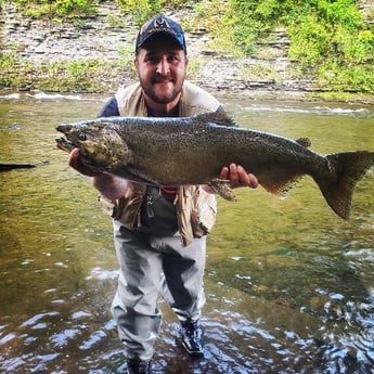 Coho Salmon fishing in Pulaski, New York