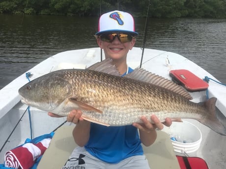 Redfish Fishing in St. Petersburg, Florida