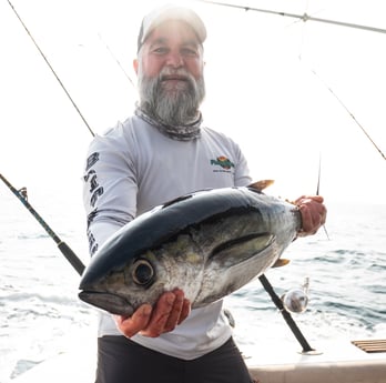 Blackfin Tuna fishing in Galveston, Texas