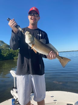 Redfish Fishing in St. Petersburg, Florida