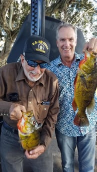 Peacock Bass Fishing in Fort Lauderdale, Florida