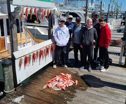 Lane Snapper, Triggerfish, Vermillion Snapper Fishing in Destin, Florida