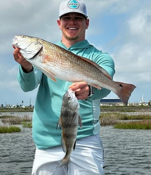 Black Drum, Redfish Fishing in Rockport, Texas