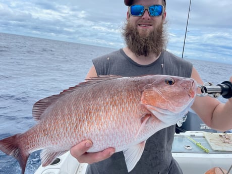 Mangrove Snapper fishing in St. Augustine, Florida