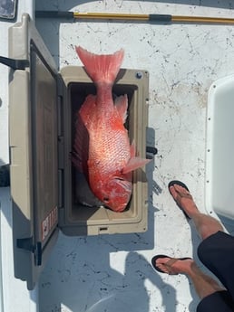 Red Snapper Fishing in Rockport, Texas