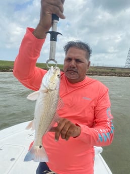 Redfish Fishing in Galveston, Texas