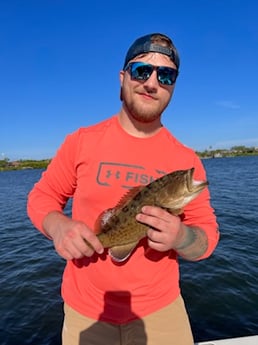 Gag Grouper fishing in Fort Myers, Florida